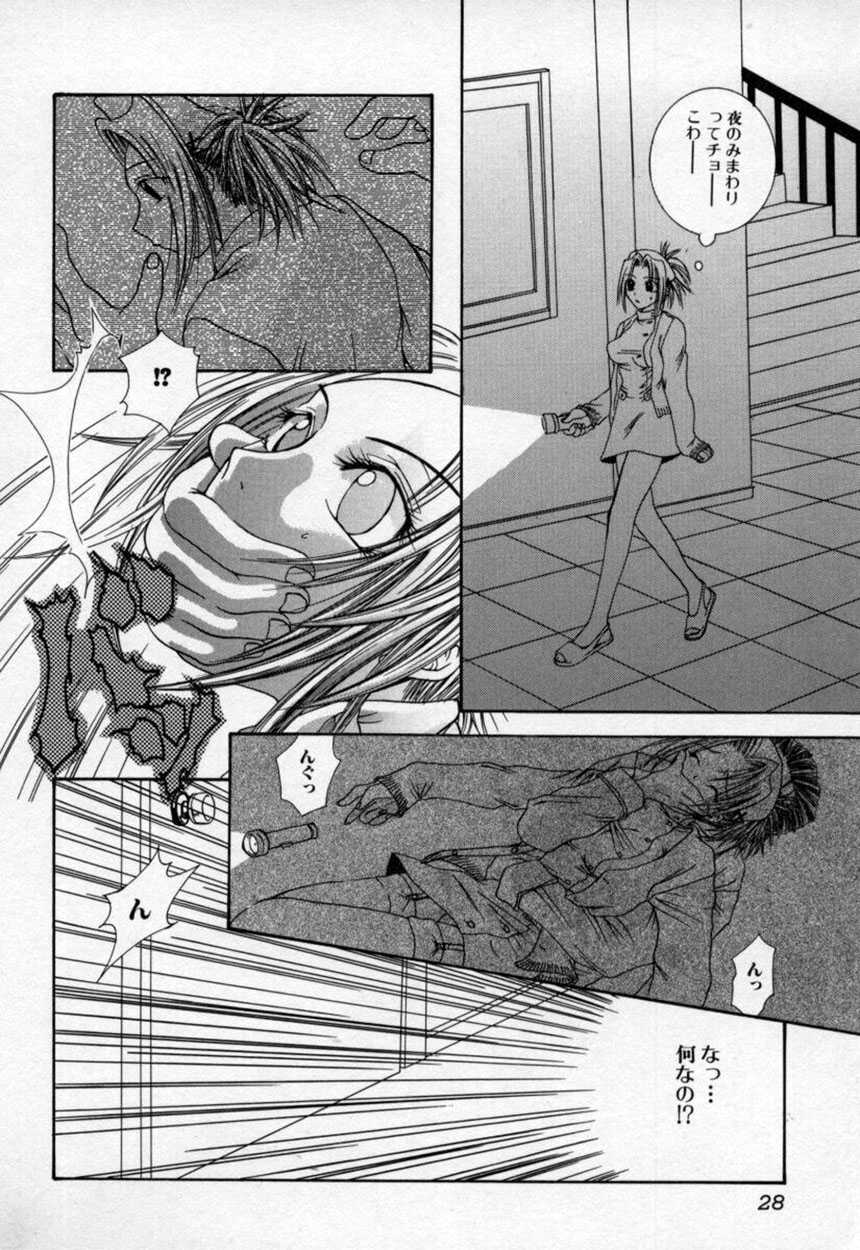 [Mitubishi Soara] Atashi no Mitai? - Page 29