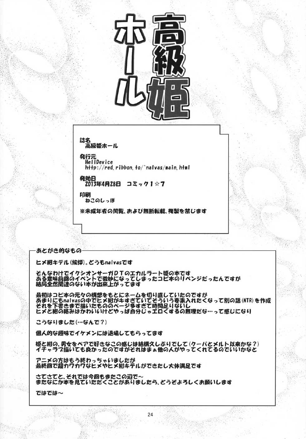 (COMIC1☆7) [HellDevice (nalvas)] Koukyuu Hime Hole (Ixion Saga DT) - Page 23