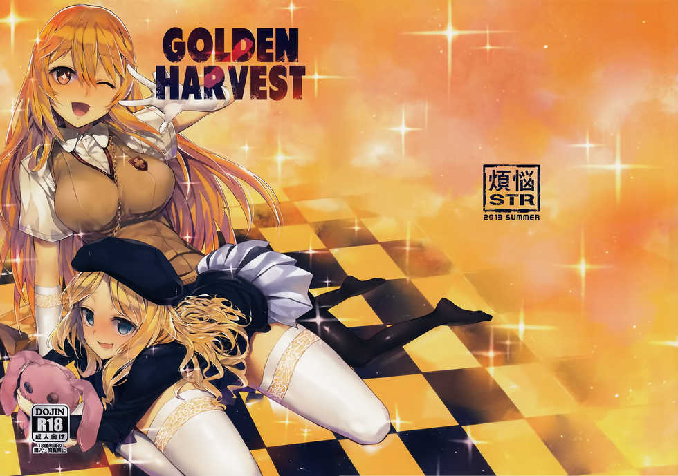 (C84) [Bonnou Stream (shri)] GOLDEN HARVEST (Toaru Kagaku no Railgun) [Chinese] [年糕汉化组] - Page 20