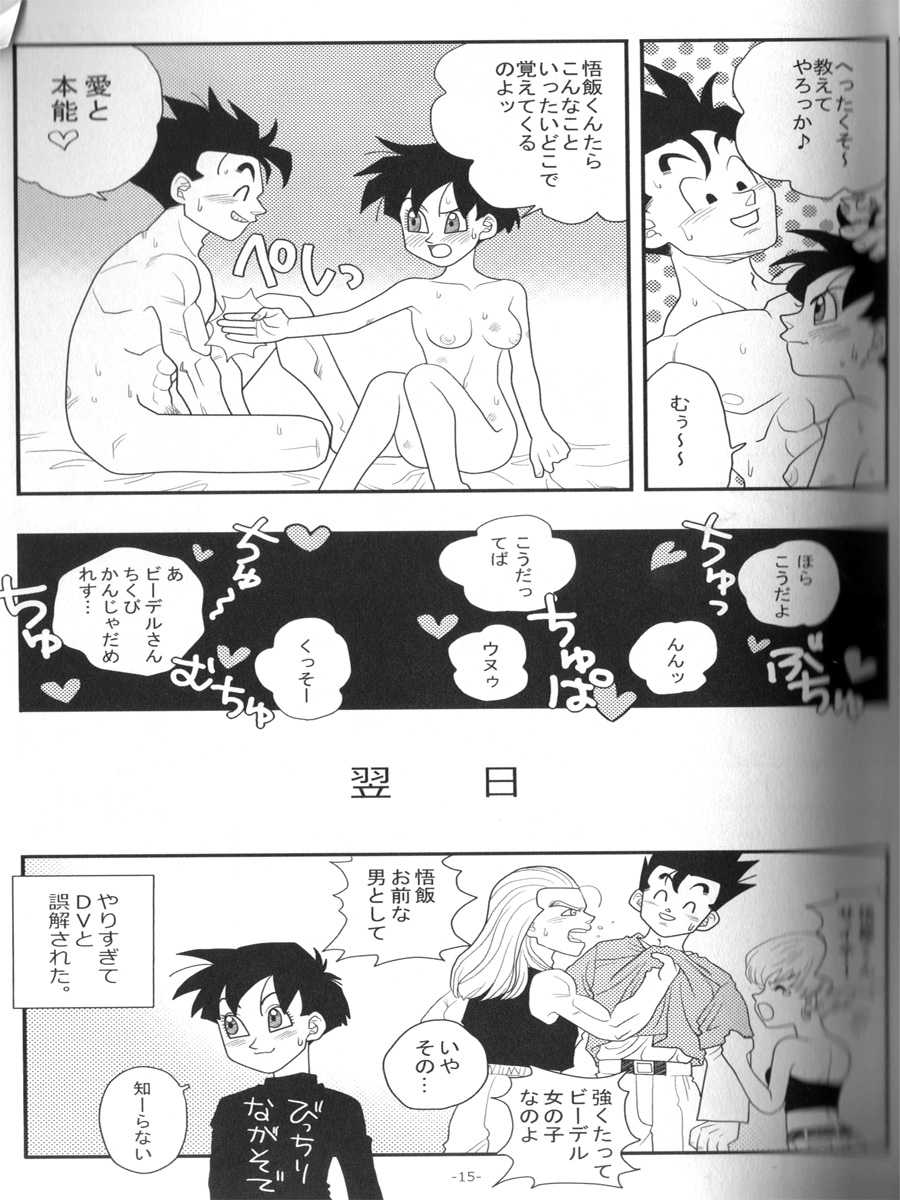 [Kakkokari (aru)] Ai no Bakudan (Dragonball Z) - Page 14