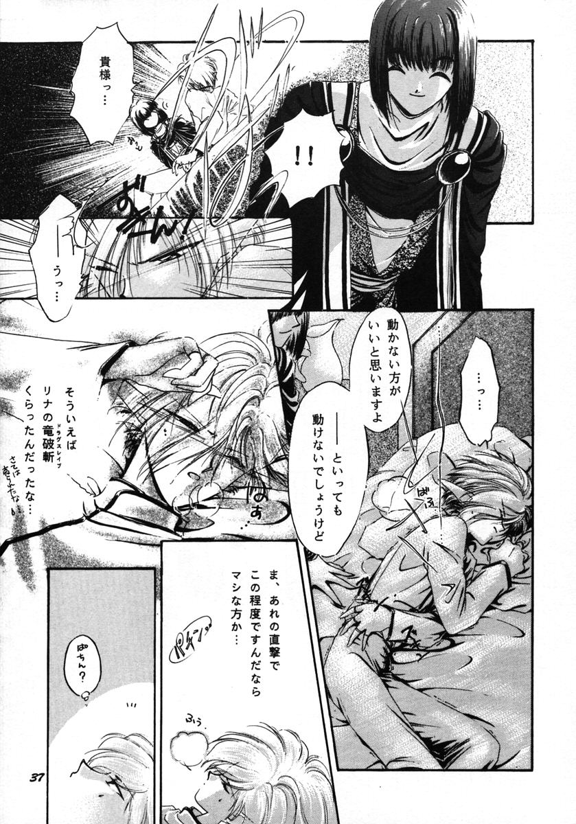 [Bun (Mizumori Ryouko, Shimotsuki Rei)] Reveal (Slayers) - Page 36