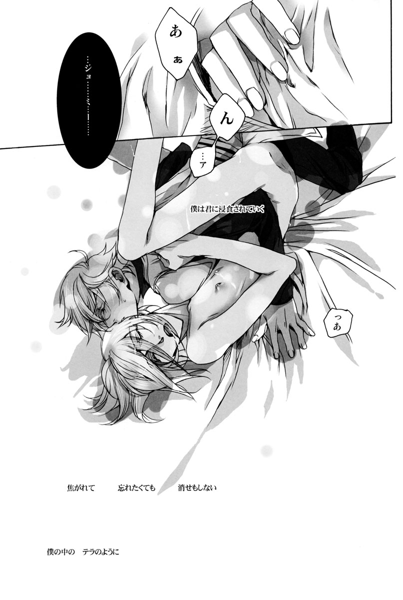[Ehoba] Itsukano Kizuato (Toward the Terra) - Page 30