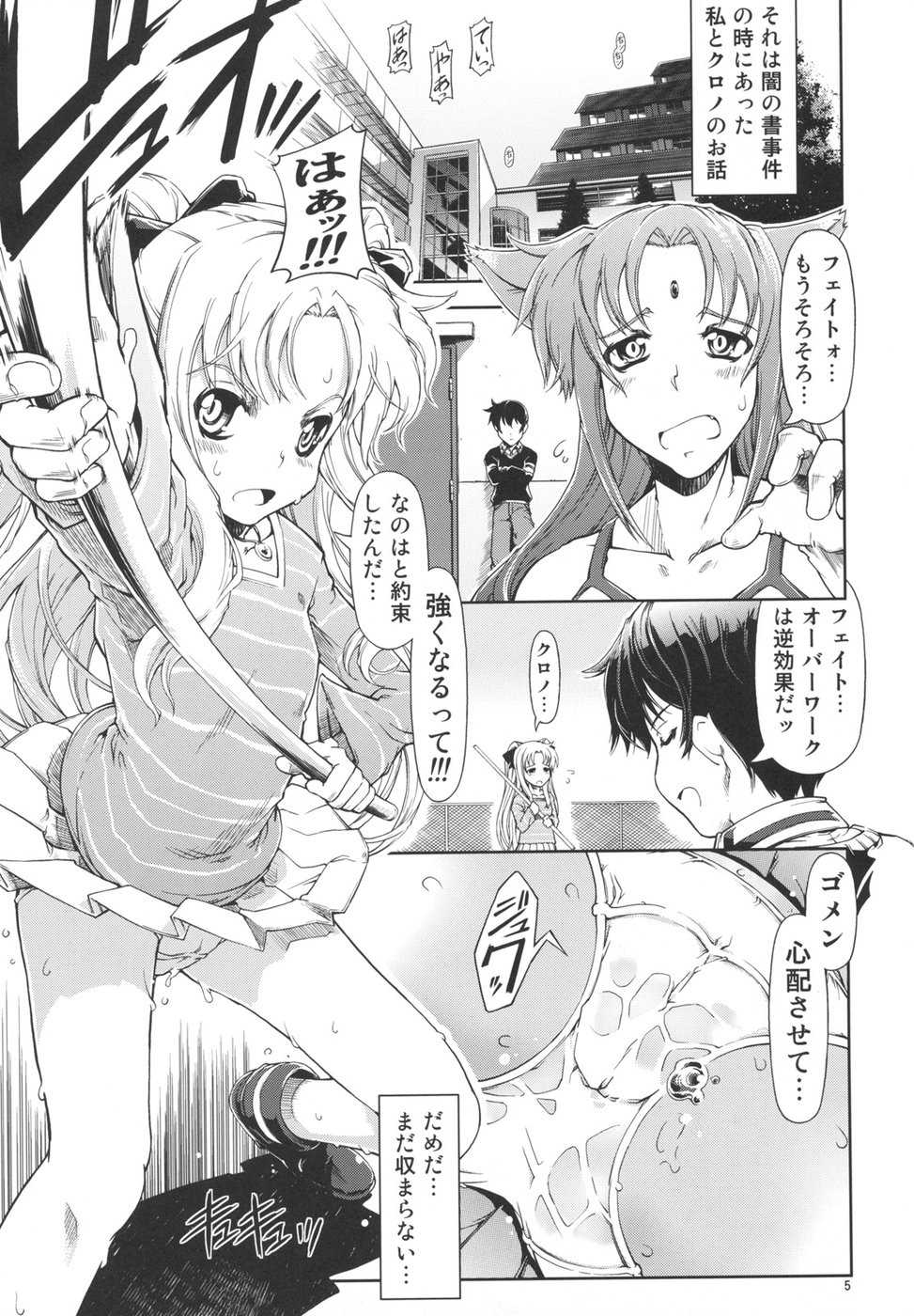 (C74) [Happy Man (Suzuki Kyoutarou)] Unhappy Girl b/12 (Mahou Shoujo Lyrical Nanoha A's) - Page 4