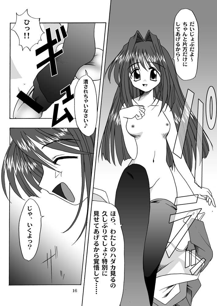 (C63) [MSIZE (Riumu)] Seme Kanon (Kanon) - Page 17