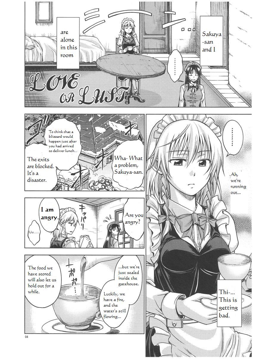 (C81) [Pigeon Blood (Asou Shin)] LOVE OR LUST (Touhou Project) [English] - Page 5