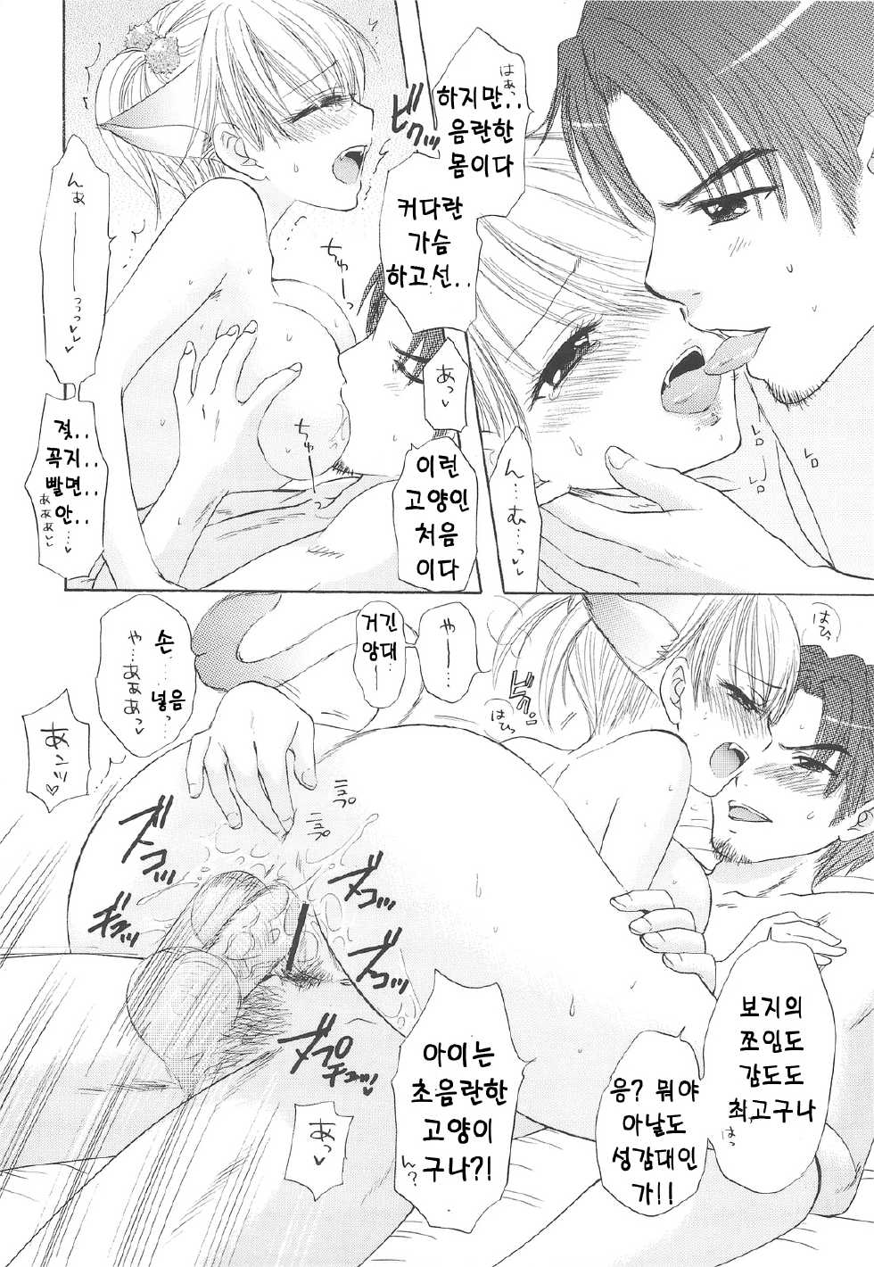 (C75) [BEAT-POP (Ozaki Mirai)] HONEY CATS [Korean] - Page 17