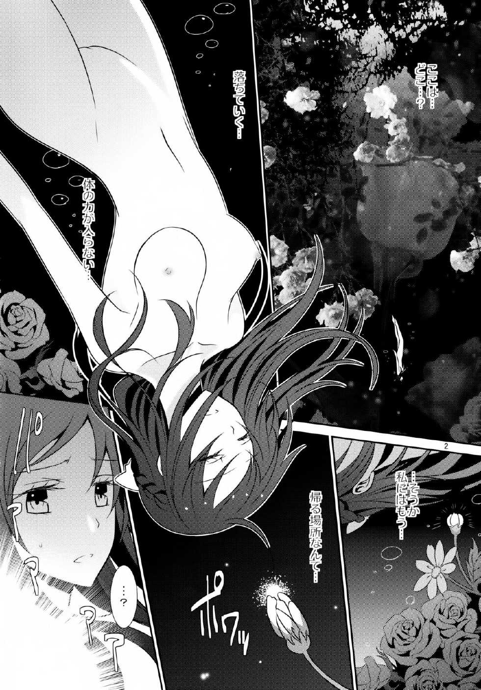 (C84) [434 Not Found (isya)] Lament -Hope or Despair- (Doki Doki Precure) - Page 3