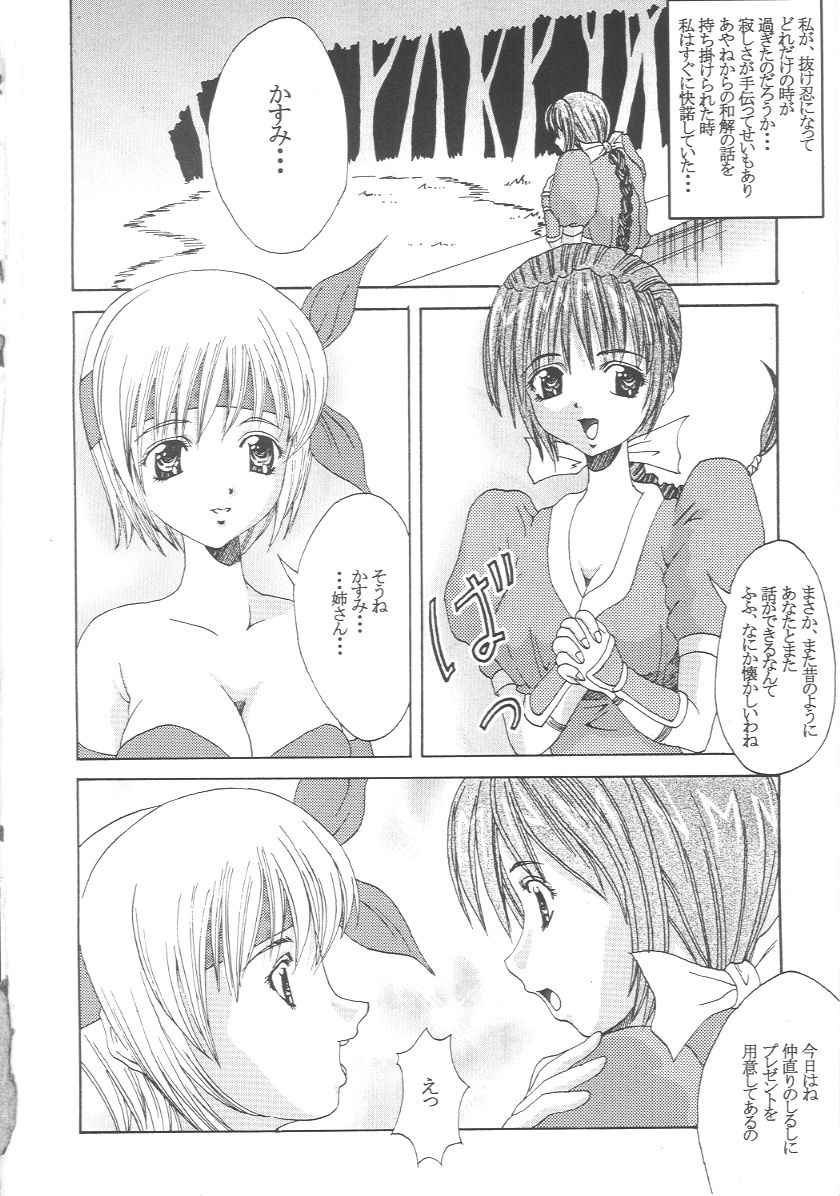 (CR27) [Abura Katabura (Papipurin)] Kasumi Jigoku Hen (Dead or Alive) - Page 3