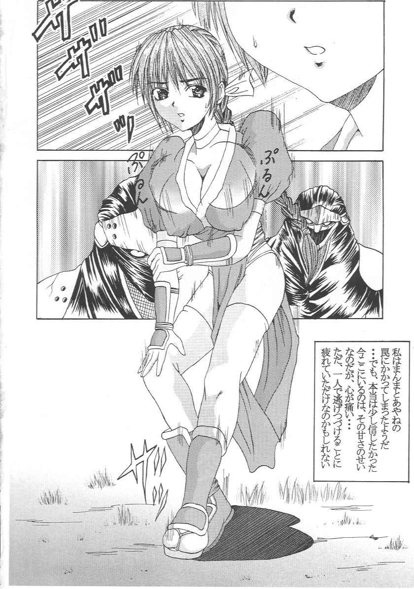 (CR27) [Abura Katabura (Papipurin)] Kasumi Jigoku Hen (Dead or Alive) - Page 5