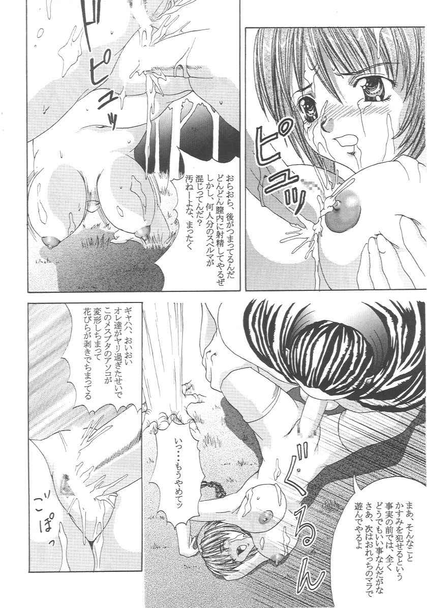 (CR27) [Abura Katabura (Papipurin)] Kasumi Jigoku Hen (Dead or Alive) - Page 19