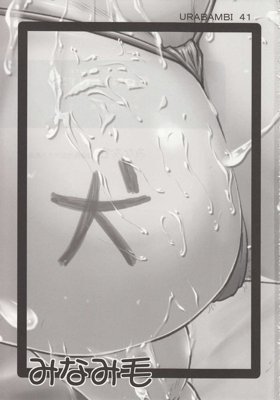 (C78) [Urakata Honpo (SINK)] Urabambi Vol. 41 Minami-ke ~Shimai Nikubenki Acme Jigoku~ (Minami-ke) - Page 2