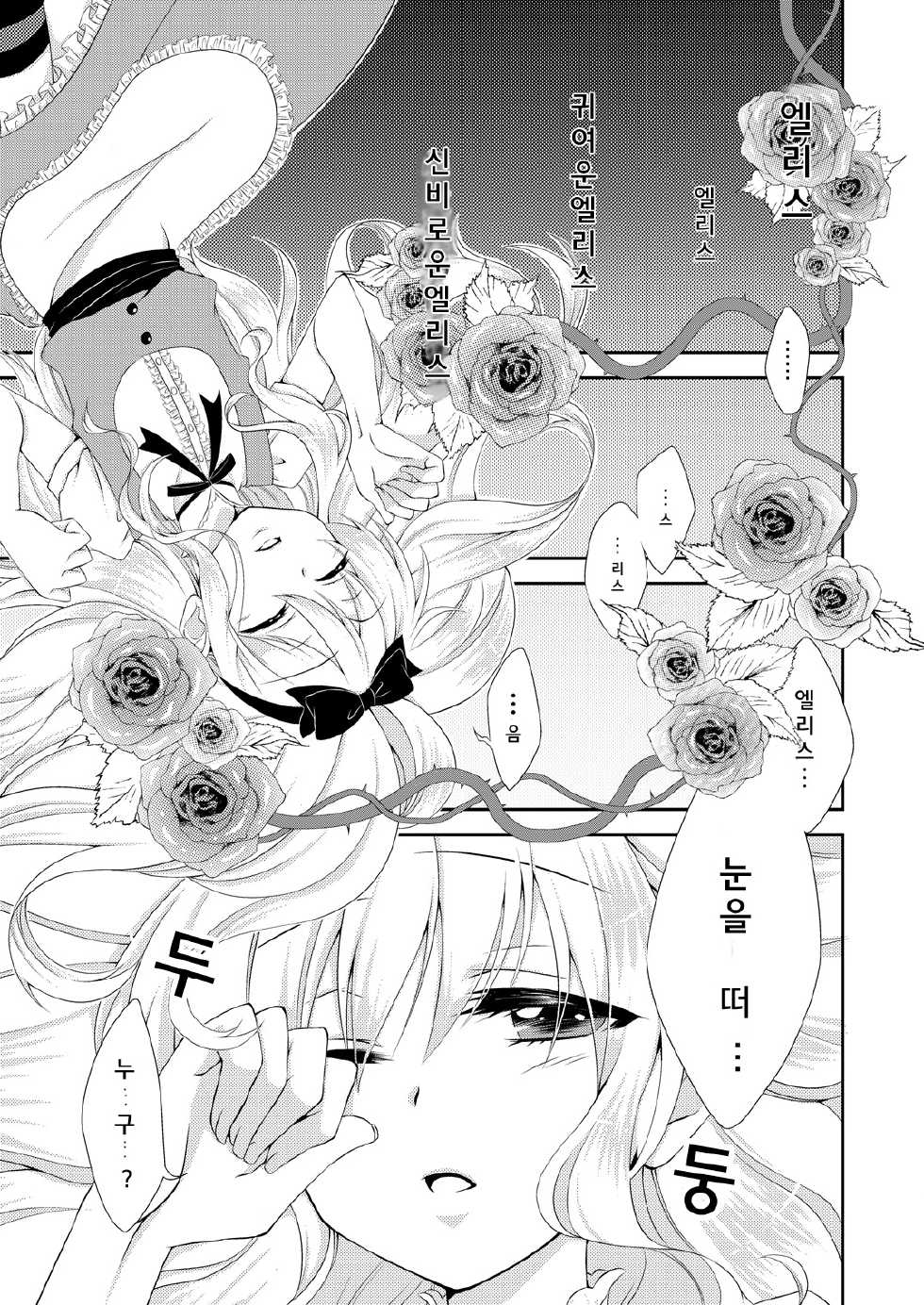 [Meisou Junkie (Neko Maru Rentarou)] ××× no kuni no Alice | xxx 나라의 엘리스 (Alice in Wonderland) [Korean] [시즈2] [Digital] - Page 4