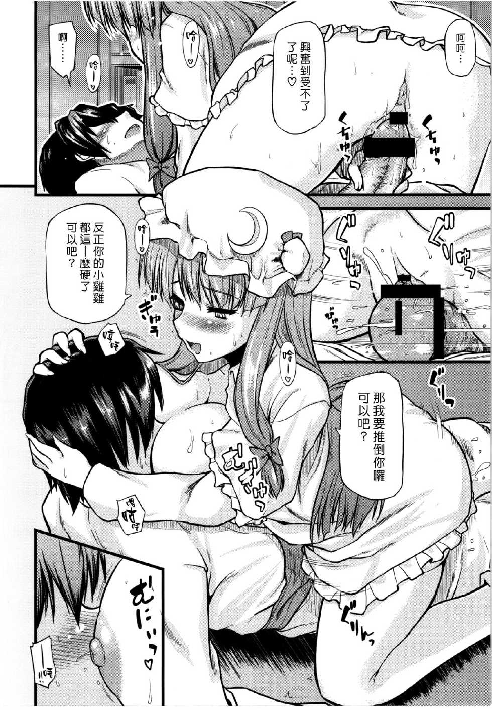 (C81) [from SCRATCH (Johnny)] Toshokan no Oneesan ga Ijimete Ageru. (Touhou Project) [Chinese] - Page 17