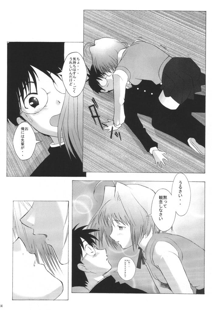 (C61) [Kohakutei (Sakai Hamachi)] Mutsumizuki (Tsukihime) - Page 13