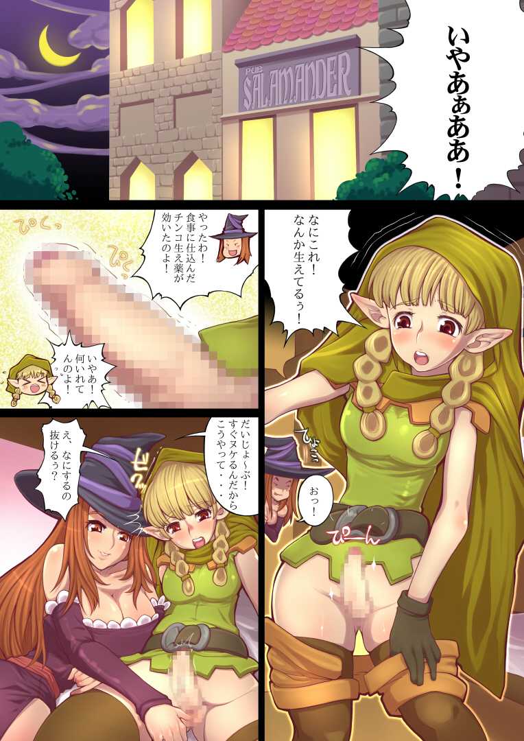 [Tsujimo ga Machi ni Yattekita!!! (Tsujizen)] Erotica Crown - Bitch na Majo (Dragon's Crown) [Digital] - Page 4