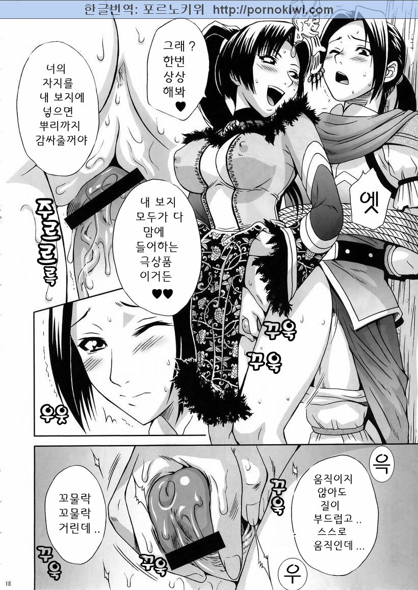 (C67) [U.R.C (Momoya Show-Neko)] In Sangoku Musou 3 (Dynasty Warriors) [Korean] - Page 17