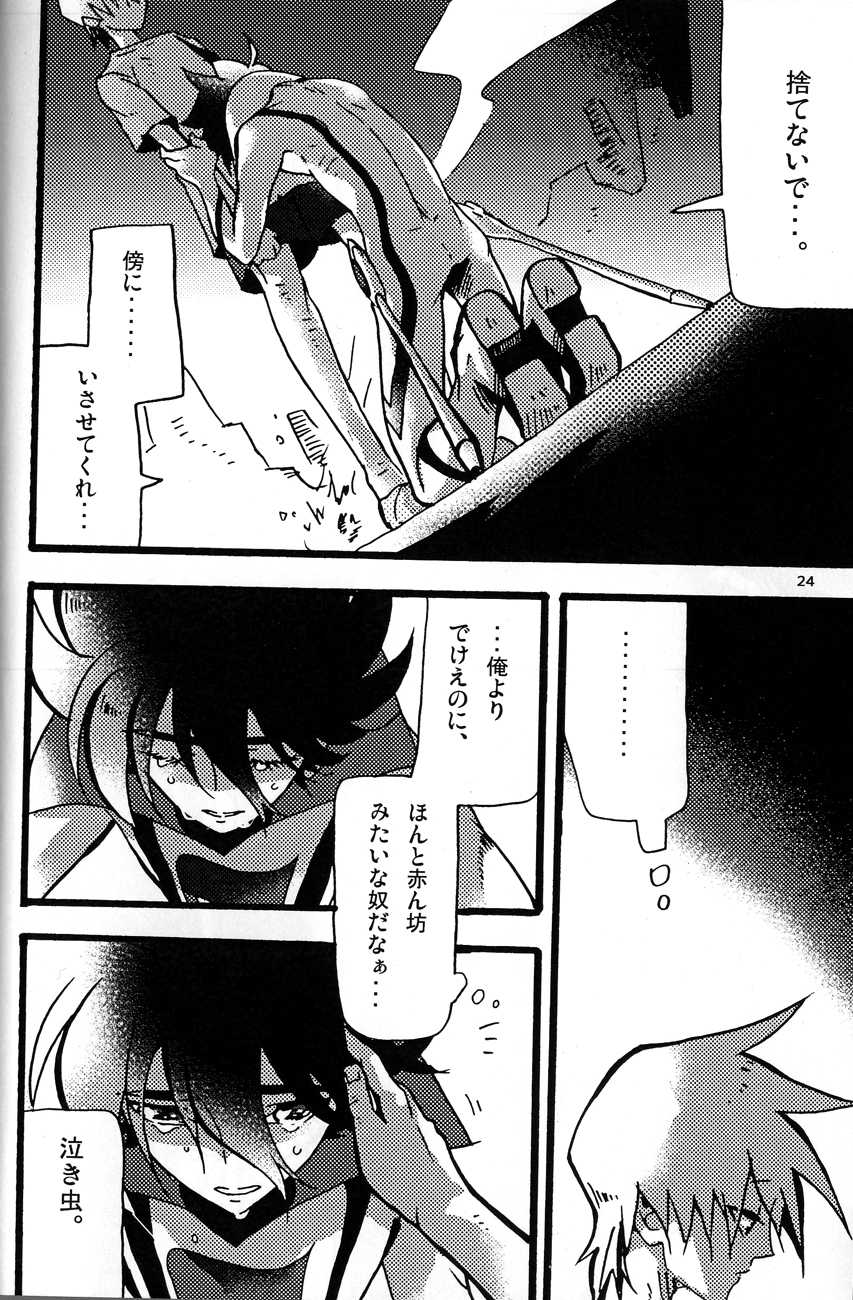 [dokumanikkusu] C.A.Y! (Casshern Sins) - Page 23