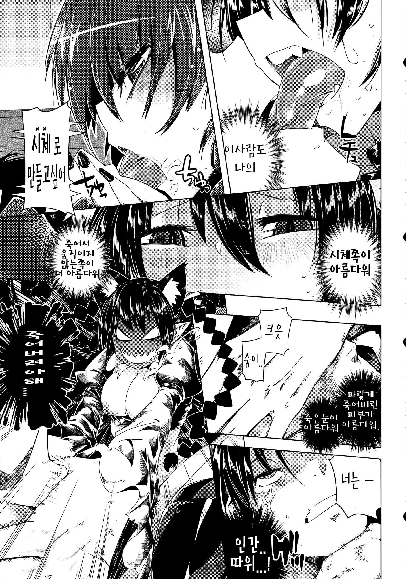 (C83) [Sakurai Dai Energy (Sakurai Energy)] Neko Jarashi - Green Cattail | 네코 쟈라시 (Touhou Project) [Korean] [Team Sorry] - Page 14