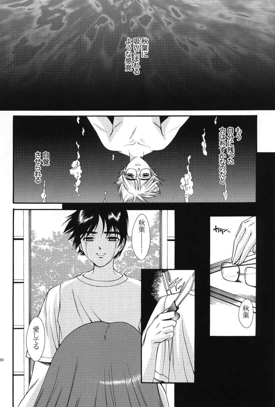 (C60) [Ren-Ai Mangaka (Various)] Tsukiyomi ~Tsukuyomi~ (Tsukihime) - Page 29