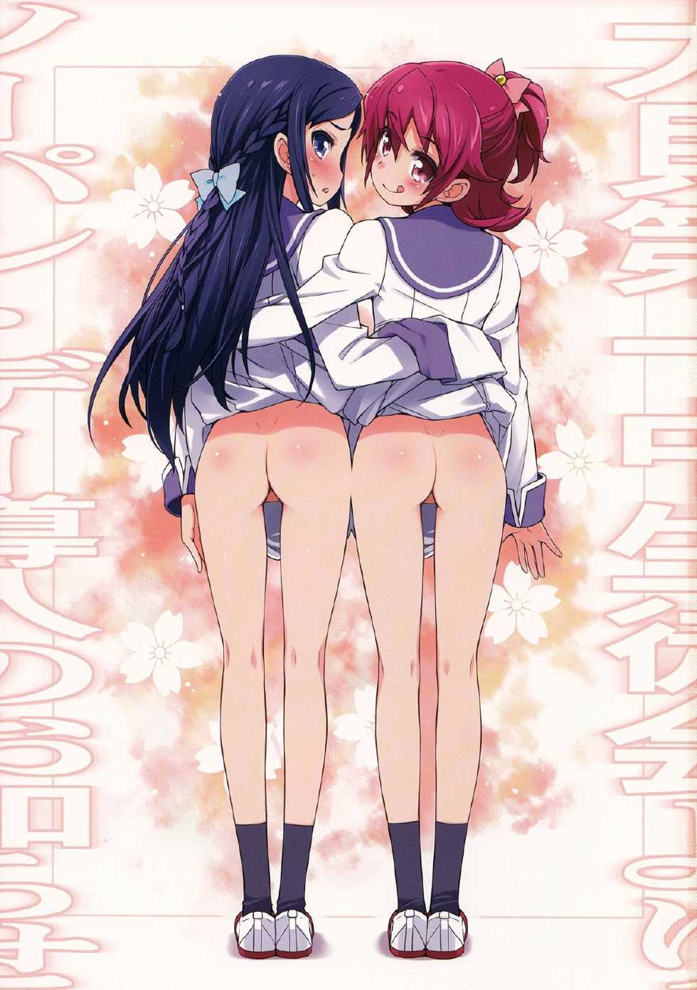 (C84) [life & Digital Flyer (Haga Yui & Oota Yuuichi)] DOCKING! (Dokidoki! Precure)(chinese) - Page 2