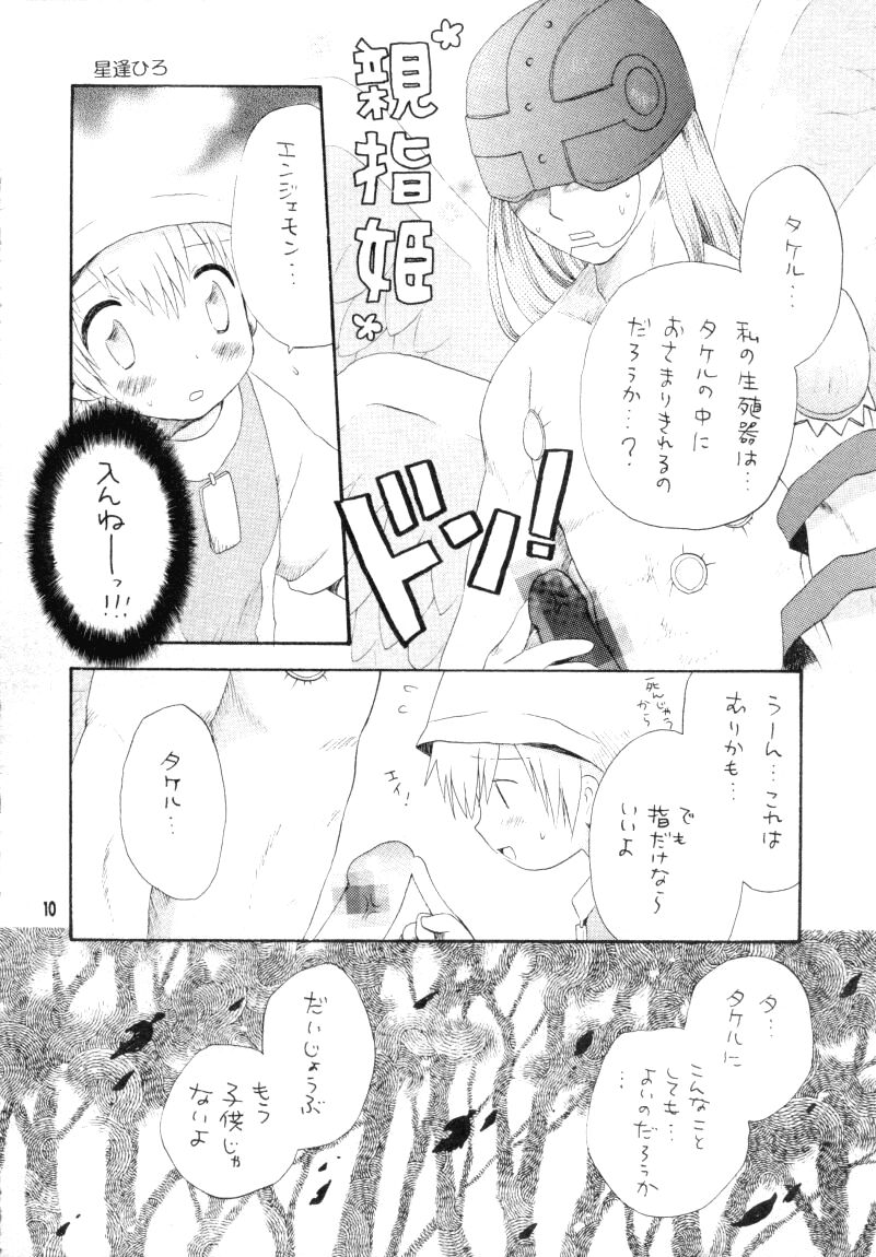 (CCTokyo96) [Haniwa Mania, Kuruguru DNA (Pon Takahanada, Hoshiai Hilo)] Bokura no Jogress World (Digimon Adventure 02) - Page 10