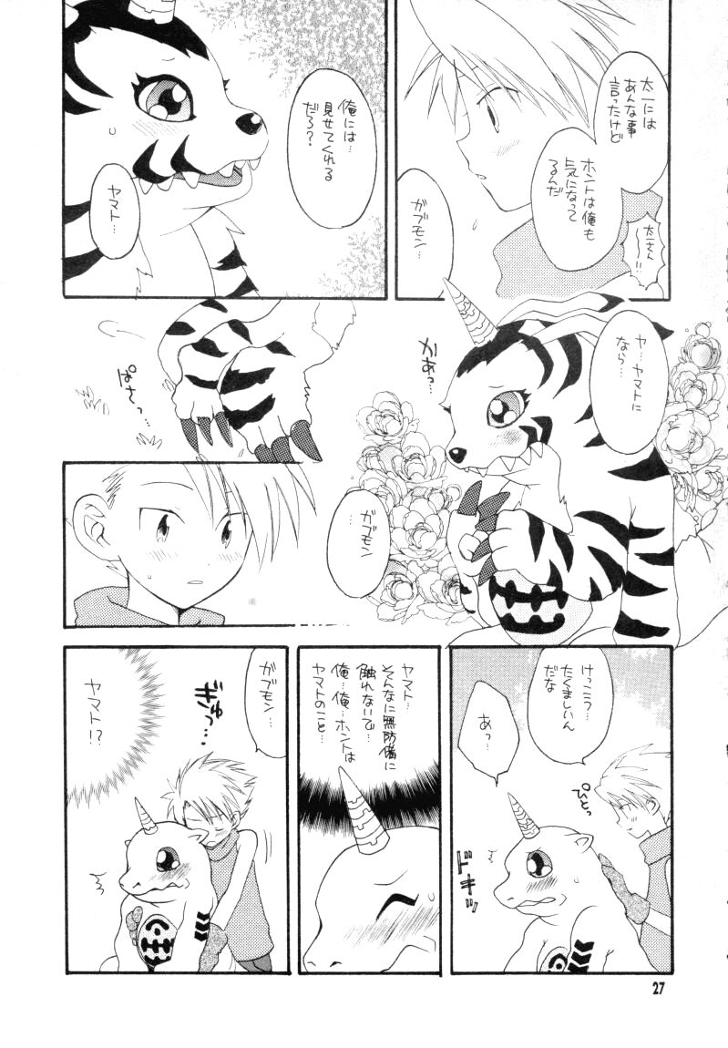(CCTokyo96) [Haniwa Mania, Kuruguru DNA (Pon Takahanada, Hoshiai Hilo)] Bokura no Jogress World (Digimon Adventure 02) - Page 27