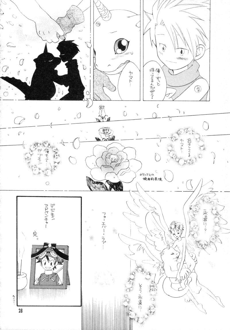 (CCTokyo96) [Haniwa Mania, Kuruguru DNA (Pon Takahanada, Hoshiai Hilo)] Bokura no Jogress World (Digimon Adventure 02) - Page 28