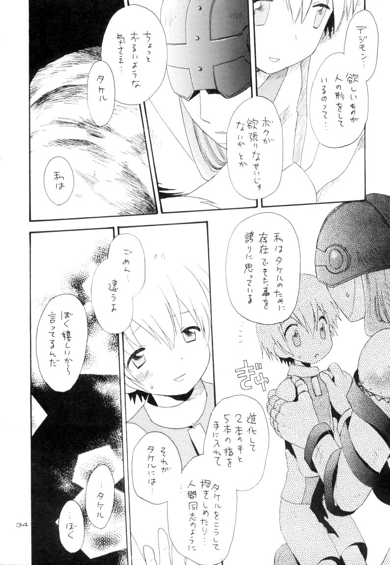 (SC15) [KuruGuru DNA (Various)] Zenda Shiro no Toriko (Digimon Adventure 02) - Page 35