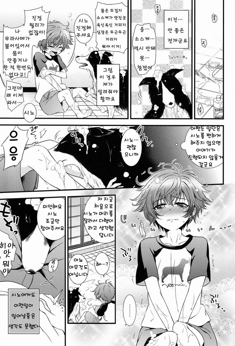(GOOD COMIC CITY 20) [Tamafuwa (Okino Matsushiro)] Chiisana Kami e no Negaigoto | 작은 신의 소원 (Hakkenden) [Korean] - Page 5