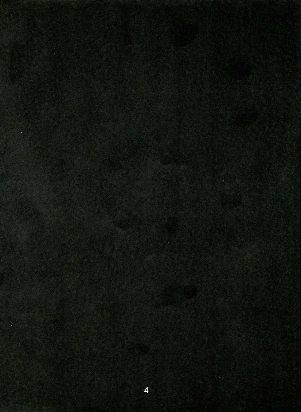 (C84) [Isorashi Dou (Isorashi)] Idol Makoto Kinbaku Kankin SHOW (Dokidoki! Precure) - Page 4