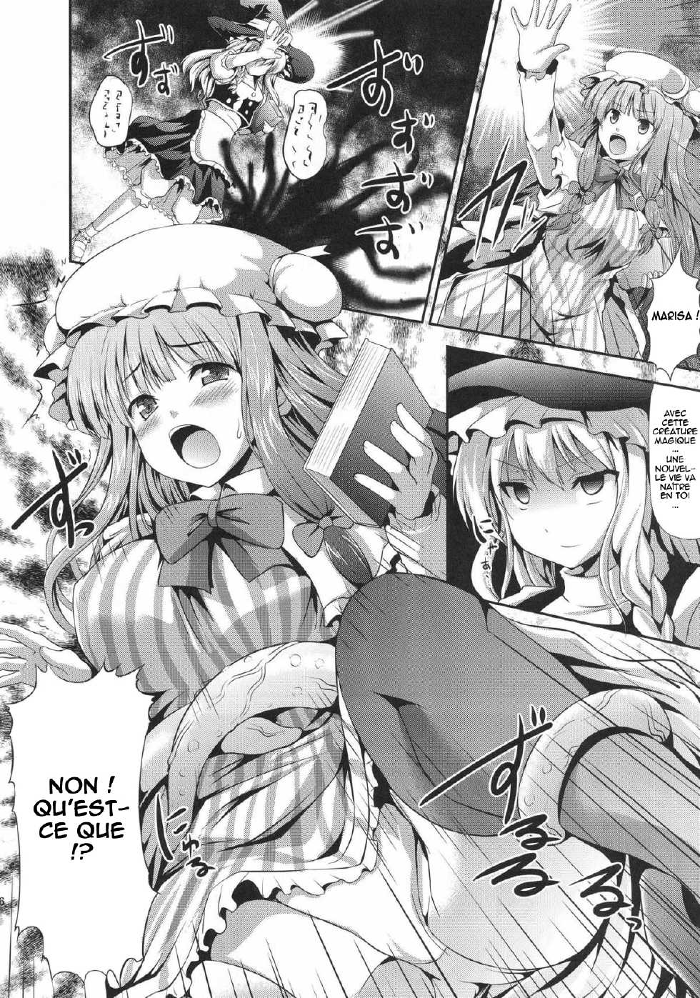 (C83) [An-Arc (Hamo)] EXTRA FLESH (Touhou Project) [French] [HentaiFR.net] - Page 5