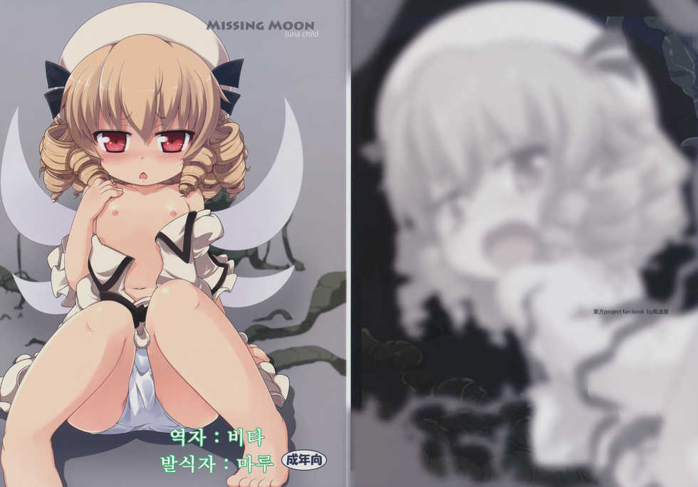 (C77) [Kazemichiya (Mamo Williams)] Missing Moon (Touhou Project) [Korean] - Page 1
