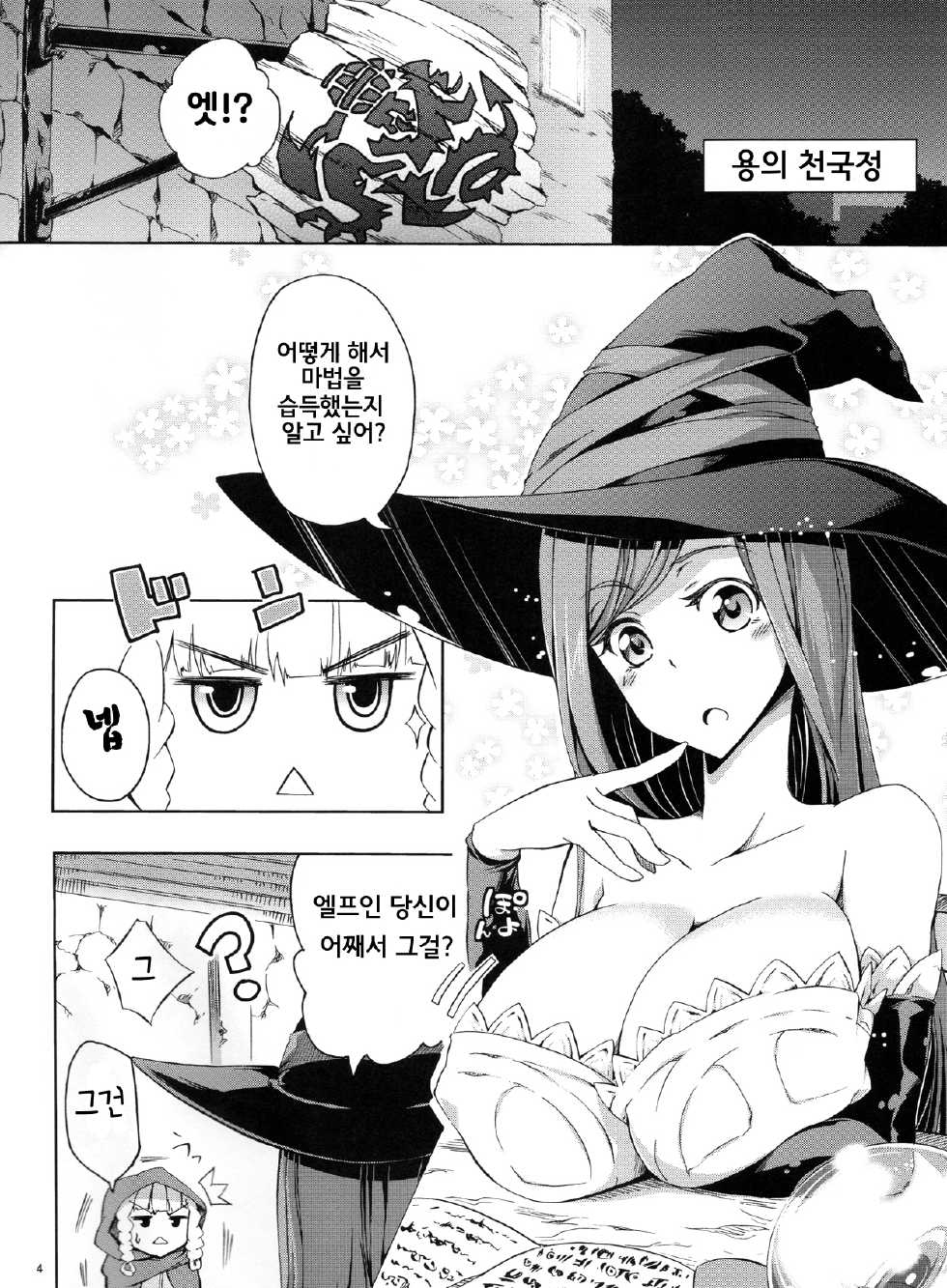 (SC61) [Z-FRONT (Kagato)] MAJI PAI | 마지 파이 (Dragon's Crown) [Korean] [Ruliweb.com] - Page 4