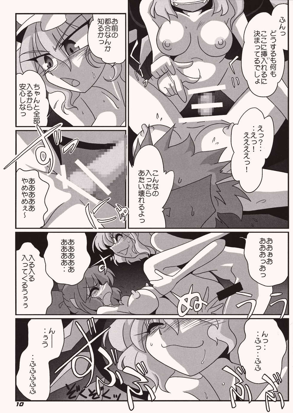 (SC41) [Kieyza cmp (Kieyza)] TOHO N+ Cir_Fla (Touhou Project) - Page 11