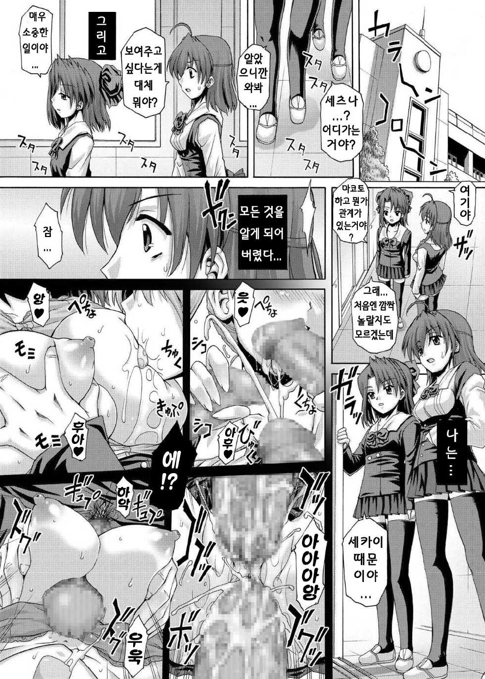 (C73) [Studio ParM (Kotobuki Utage)] PM15 Saishuuwa "Minna ga Nozomu Kotae..." | 최종화「모두가 원하는 대답・・・」 (School Days) [Korean] [팀☆면갤] - Page 11