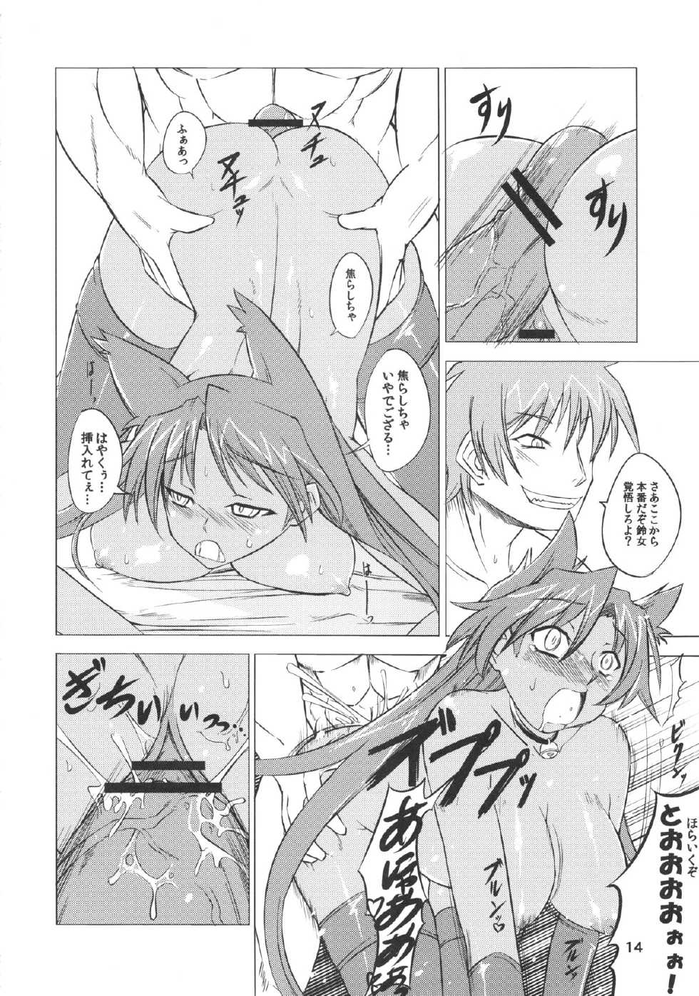 (C81) [JUNK×JUNK (kojou)] Suzume no Namida. (Rance Quest) - Page 14