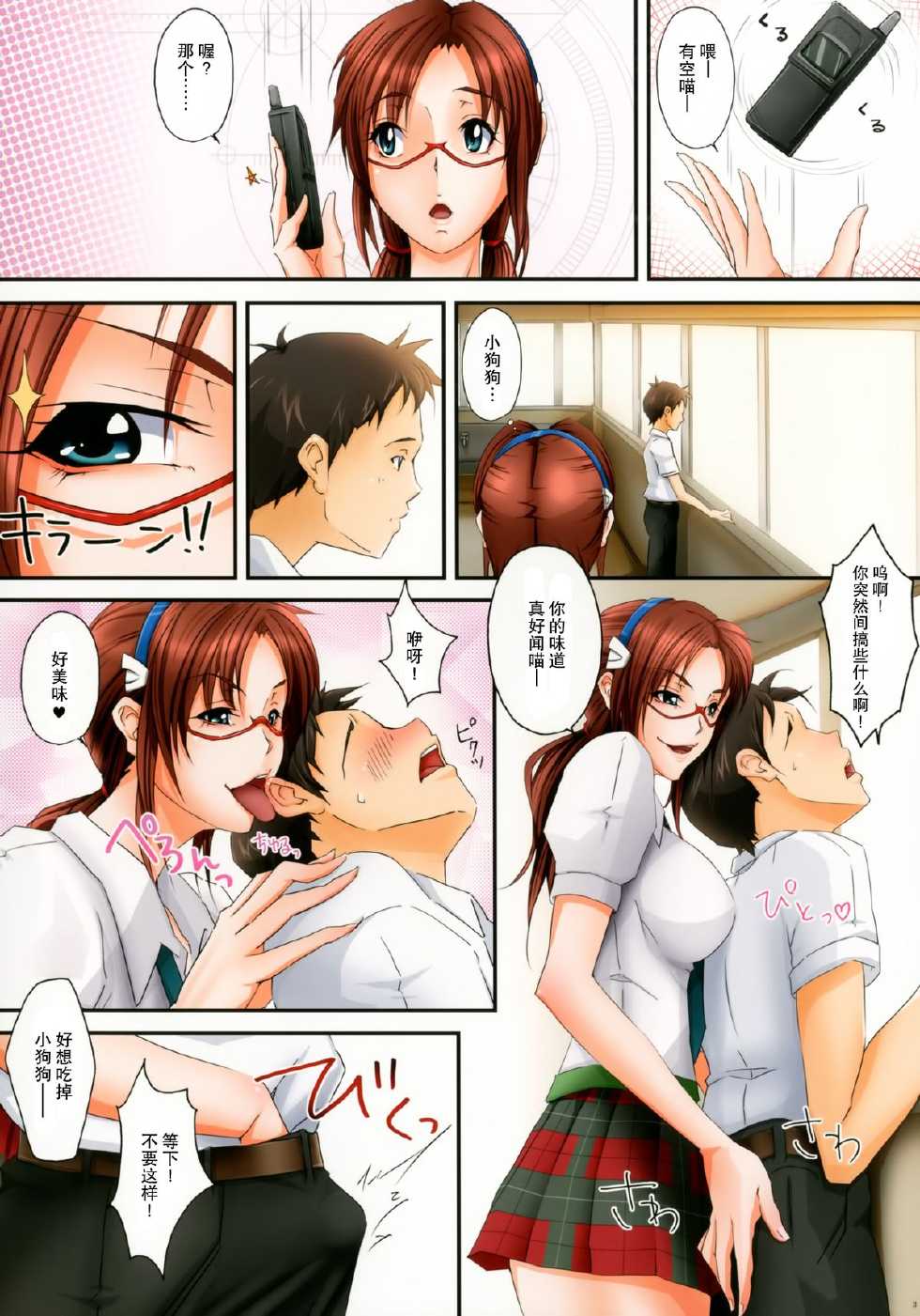 (C83) [Kesshoku Mikan (Anzu, ume)] Raspberyl Orchid (Neon Genesis Evangelion) [Chinese] [不觉晓个人汉化] - Page 4