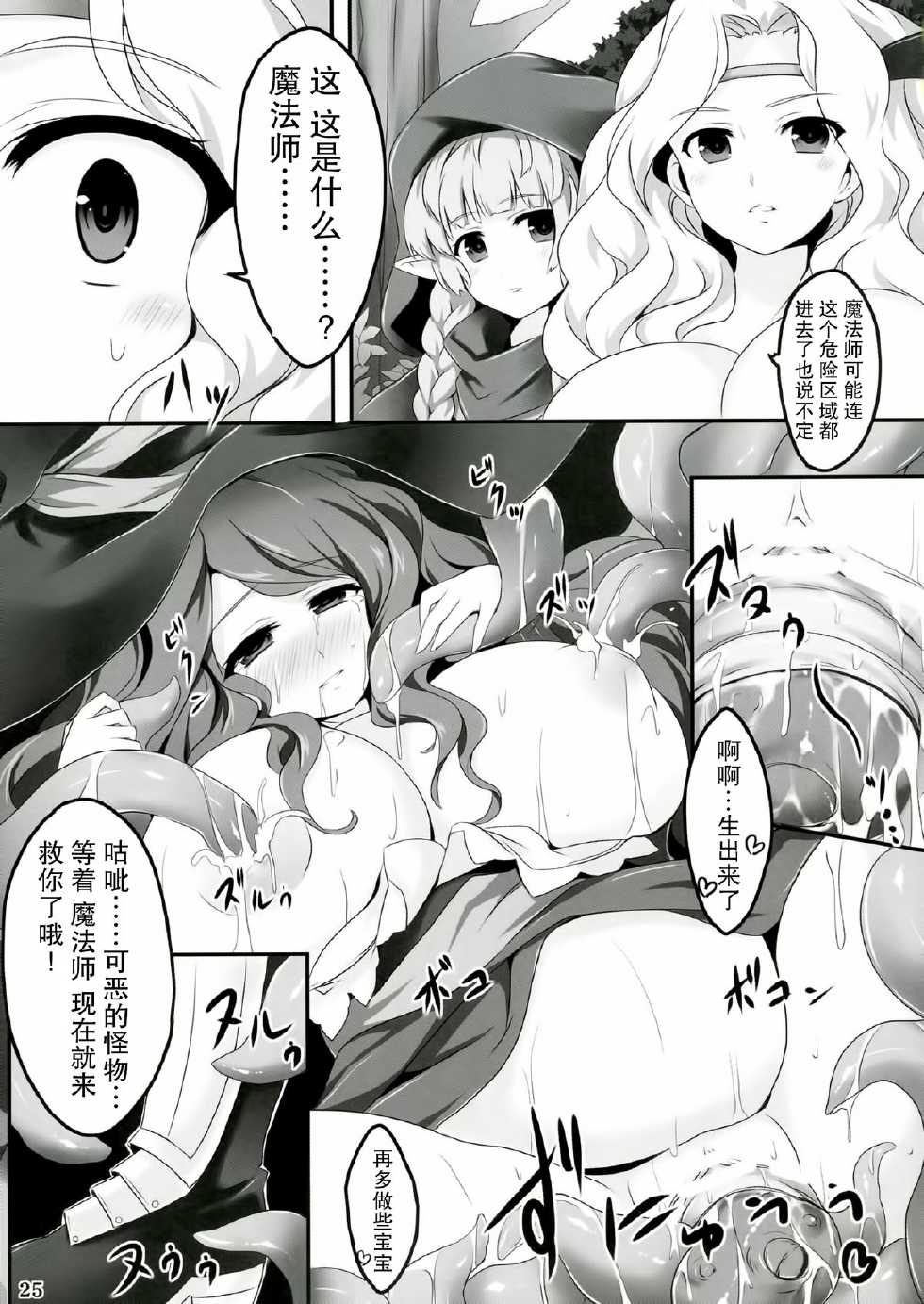 (C84) [Eucalyptus House (Mini Koara)] Majo no Mitsu (Dragon's Crown)[chinese][无毒汉化组] - Page 26