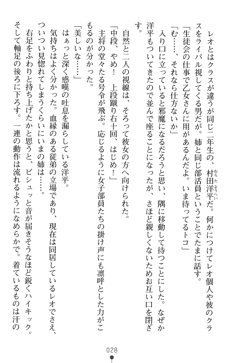 [Sakaki Kasa] Tsuyokiss Another Story Kurogane Otome no Baai (Nijigen Game no Bells 06) - Page 32