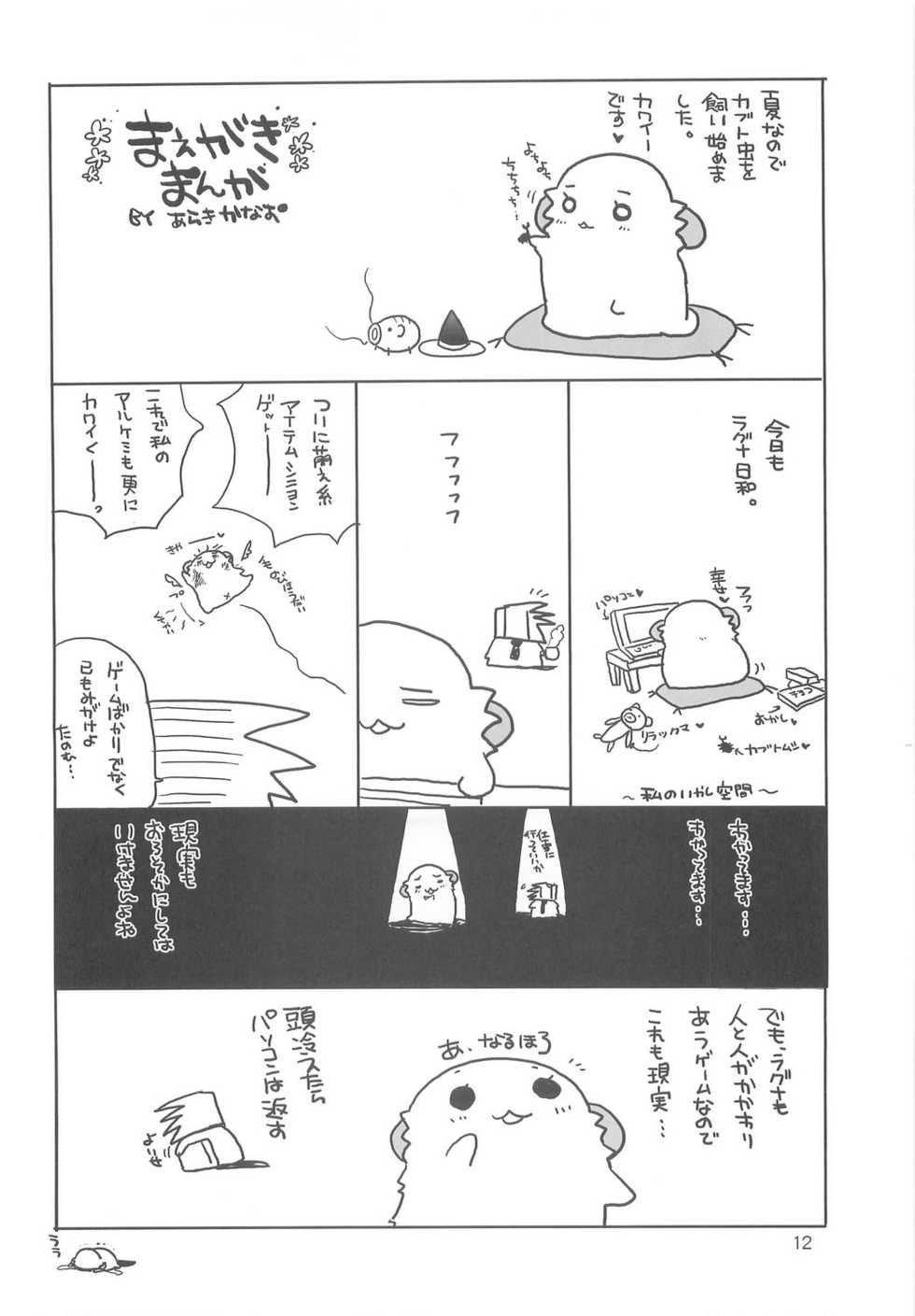 (C66) [Kimpotsu, Shishamo House (Araki Akira, Araki Kanao)] RAG-PETA (Ragnarok Online) - Page 11