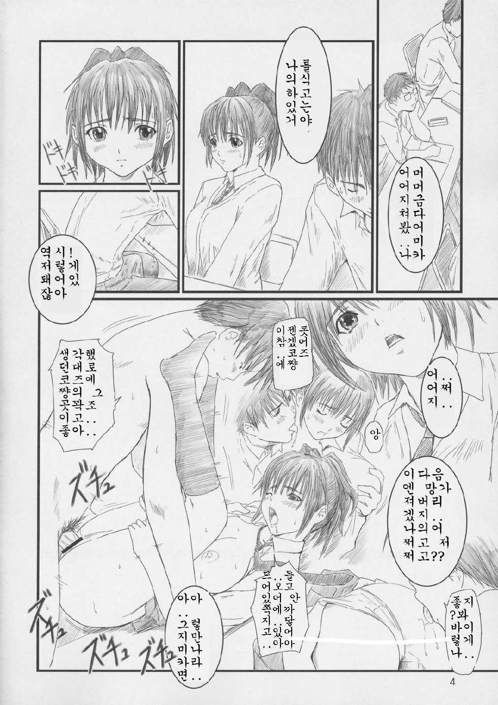 (C67) [G's studio (Kisaragi Gunma)] STRAWBERRY PANIC 2 (Ichigo 100%) [Korean] - Page 3