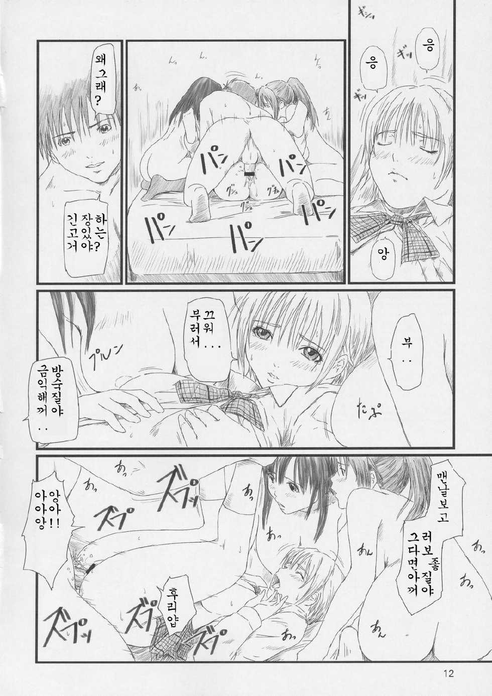 (C67) [G's studio (Kisaragi Gunma)] STRAWBERRY PANIC 2 (Ichigo 100%) [Korean] - Page 11