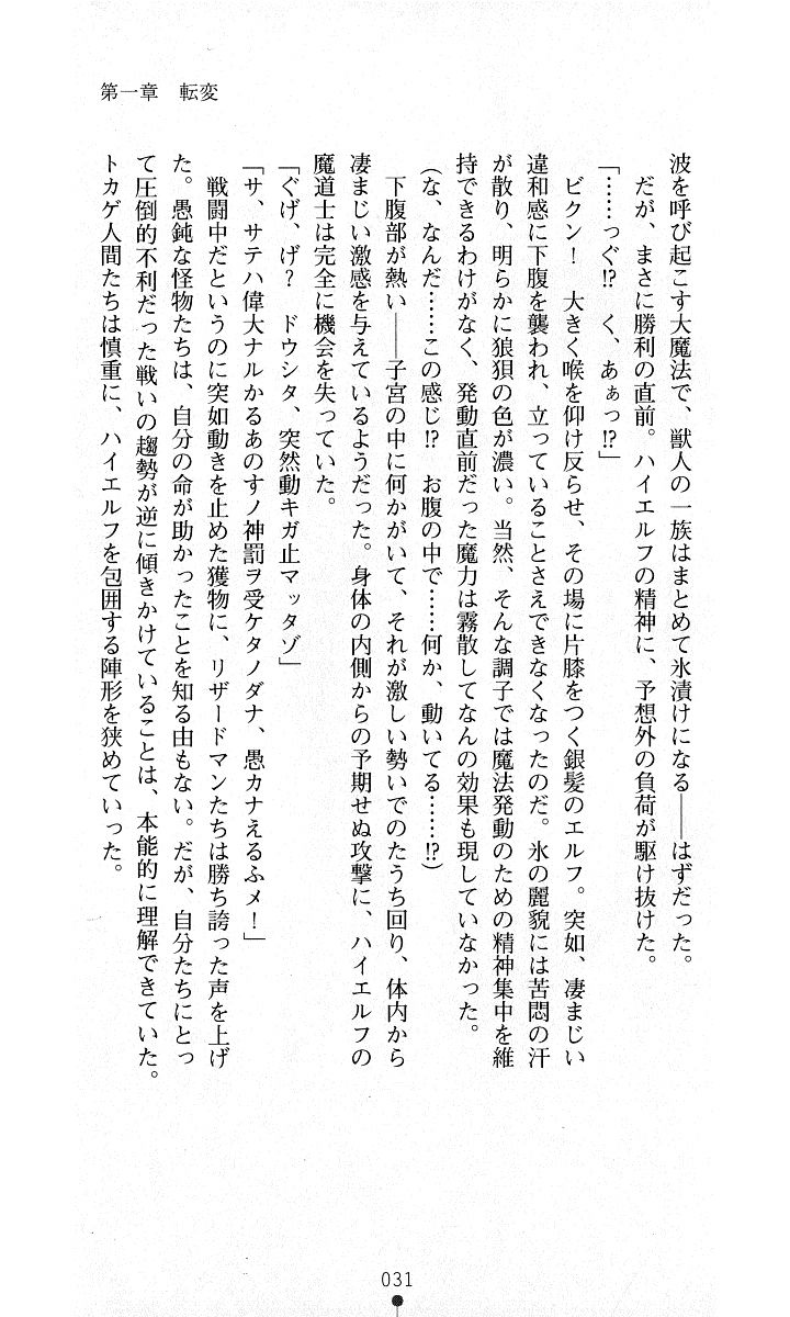 [Kuroi Hiroki, Amei Sumeru] Sisfina 2 - Ingoku no Elf - Page 29