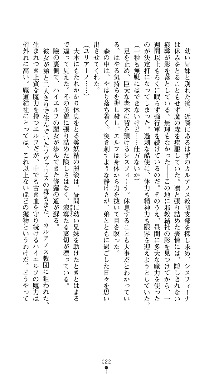 [Kuroi Hiroki, Amei Sumeru] Sisfina 1 - Hakugin no Elf - Page 29