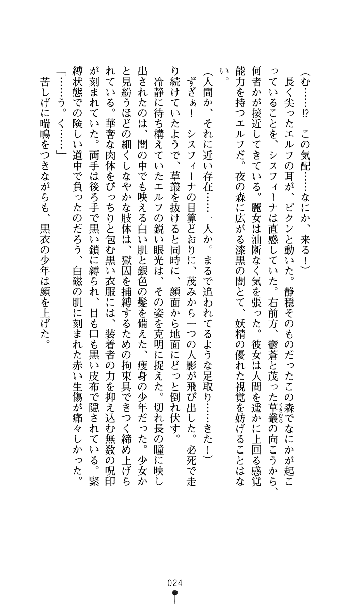 [Kuroi Hiroki, Amei Sumeru] Sisfina 1 - Hakugin no Elf - Page 31
