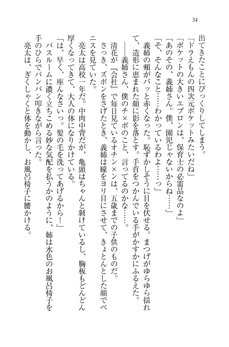 [Wakatsuki Hikaru, Miyama Zero] My Ane - Page 35