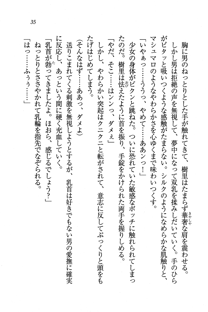 [Hokuto Rin, Hiyo Hiyo] Sei Lucifer Gakuin - Ojou-sama Saiban - Page 35