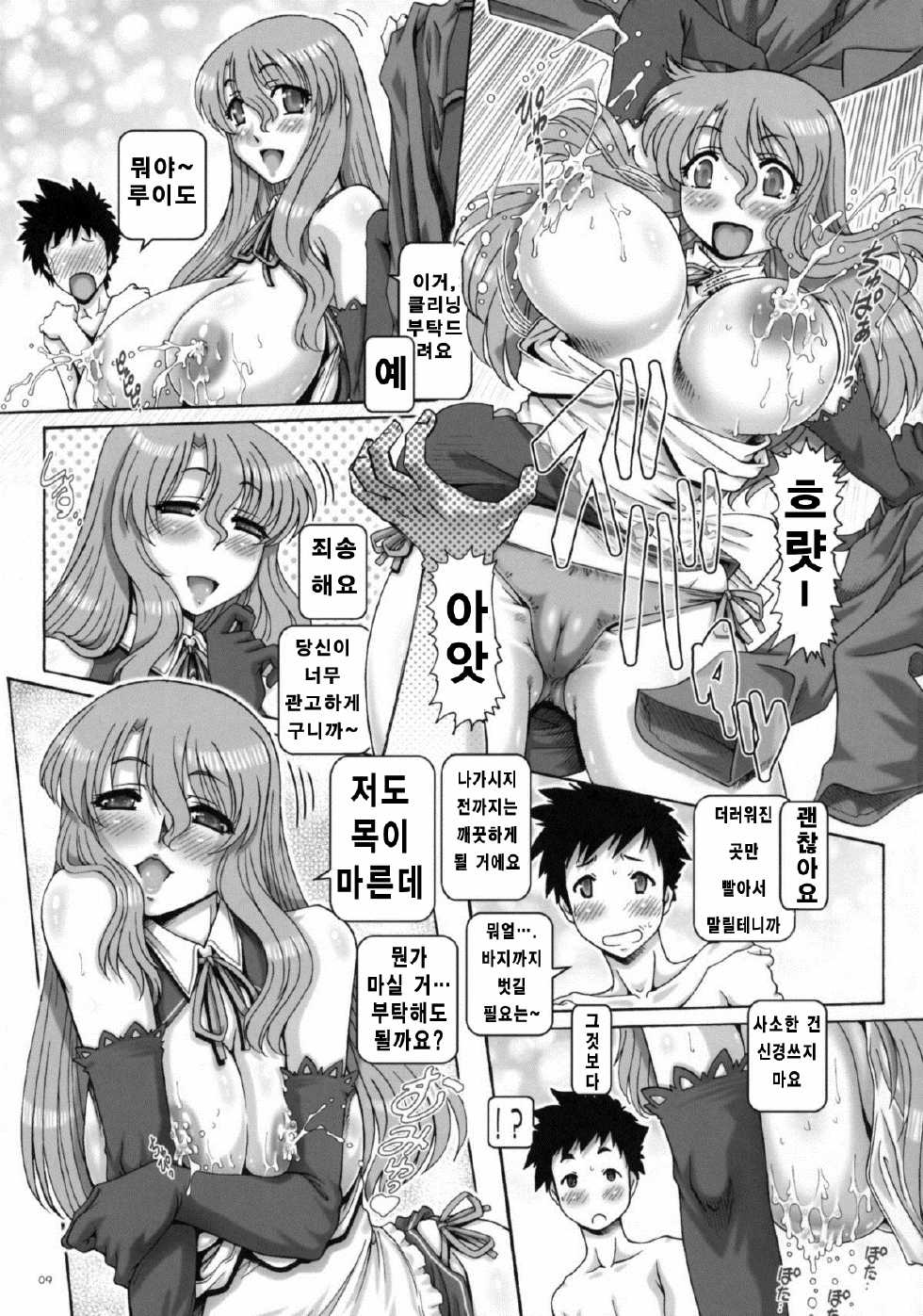 (C77) [Daihonei (TYPE.90)] PETITE EMPIRE 2009 WINTER (Dream C Club) [Korean] [Team Pure Abyss] - Page 9