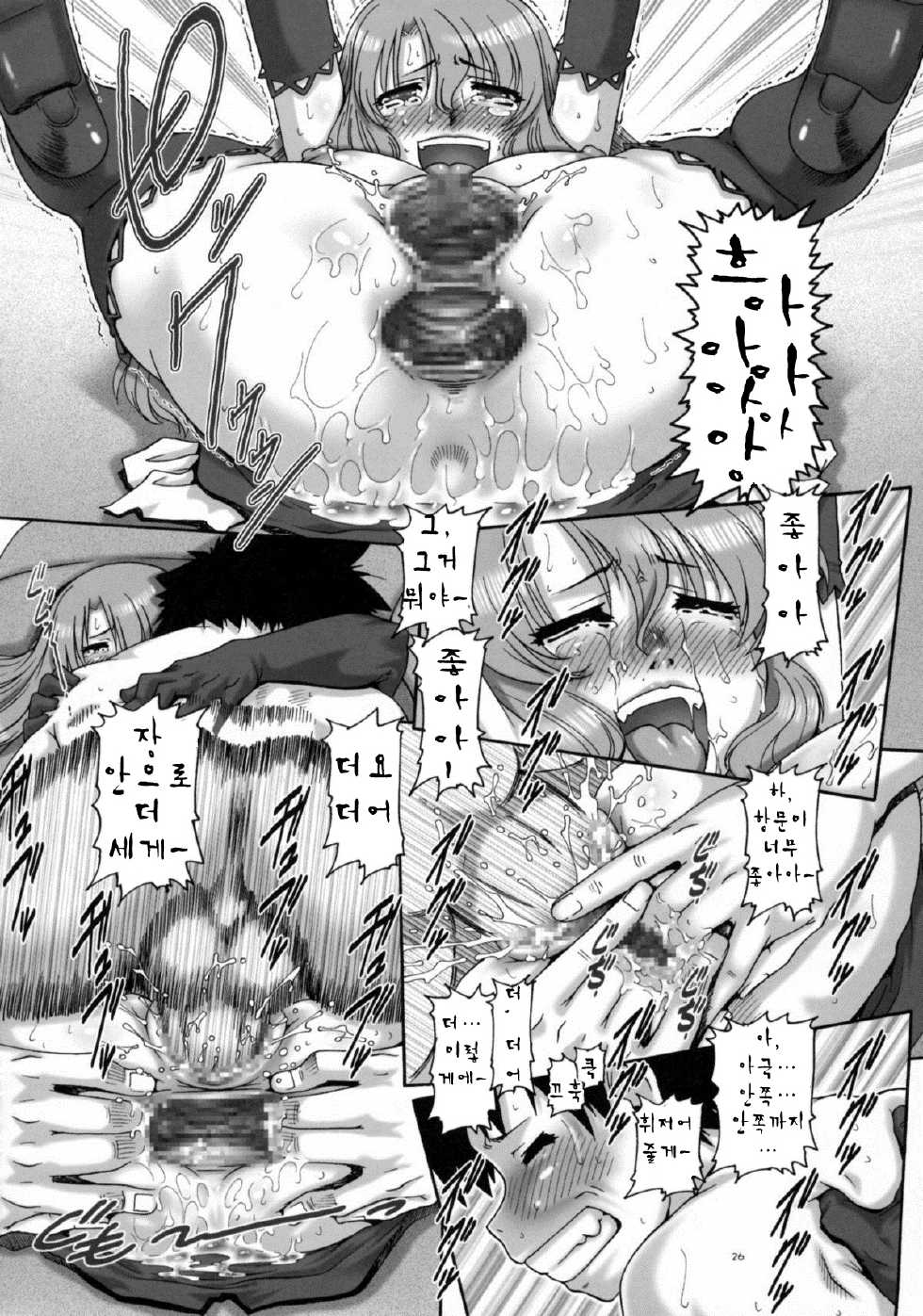 (C77) [Daihonei (TYPE.90)] PETITE EMPIRE 2009 WINTER (Dream C Club) [Korean] [Team Pure Abyss] - Page 26