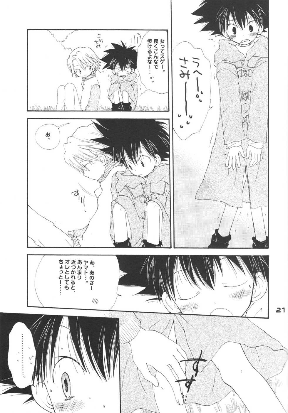 [PIKAPIKA (Takahashi Mako)] Swan no Namida (Digimon Adventure 02) - Page 22